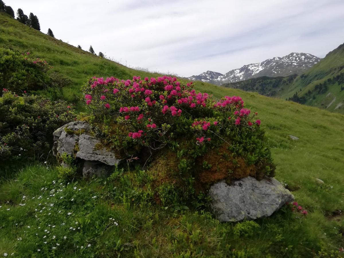 Appartment Moser Alpbach Kültér fotó